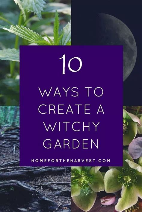 The Witch's Herb Cabinet: Must-Have Plants and Herbs for Magical Practice
